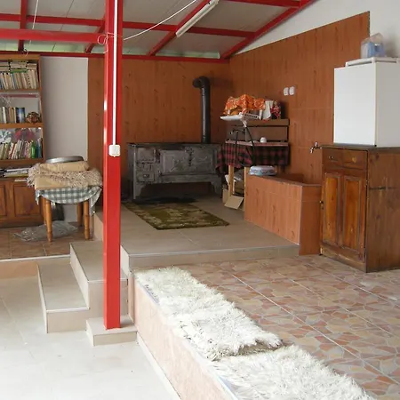 Orhidea * Yavornitsa