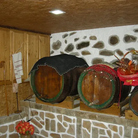 Orhidea *